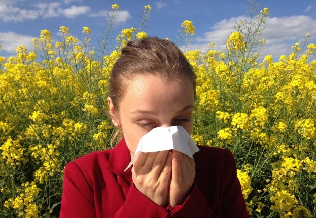 Allergische Rhinitis