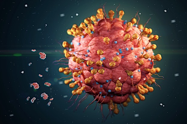 Varicella-Zoster-Virus (VZV)