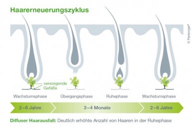 ©Merz Pharmaceuticals GmbH