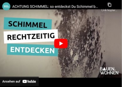 Schimmel an Wohnungswänden - Bauen & Wohnen