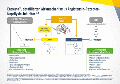 ©Novartis Pharma