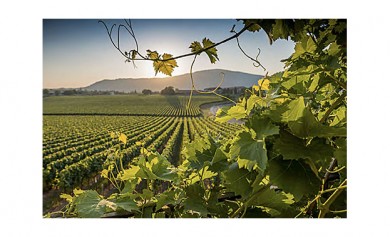 La Strada del Franciacorta ? Landschaftlich und geschmacklich eine Reise wert - ©Agorà / MDPR